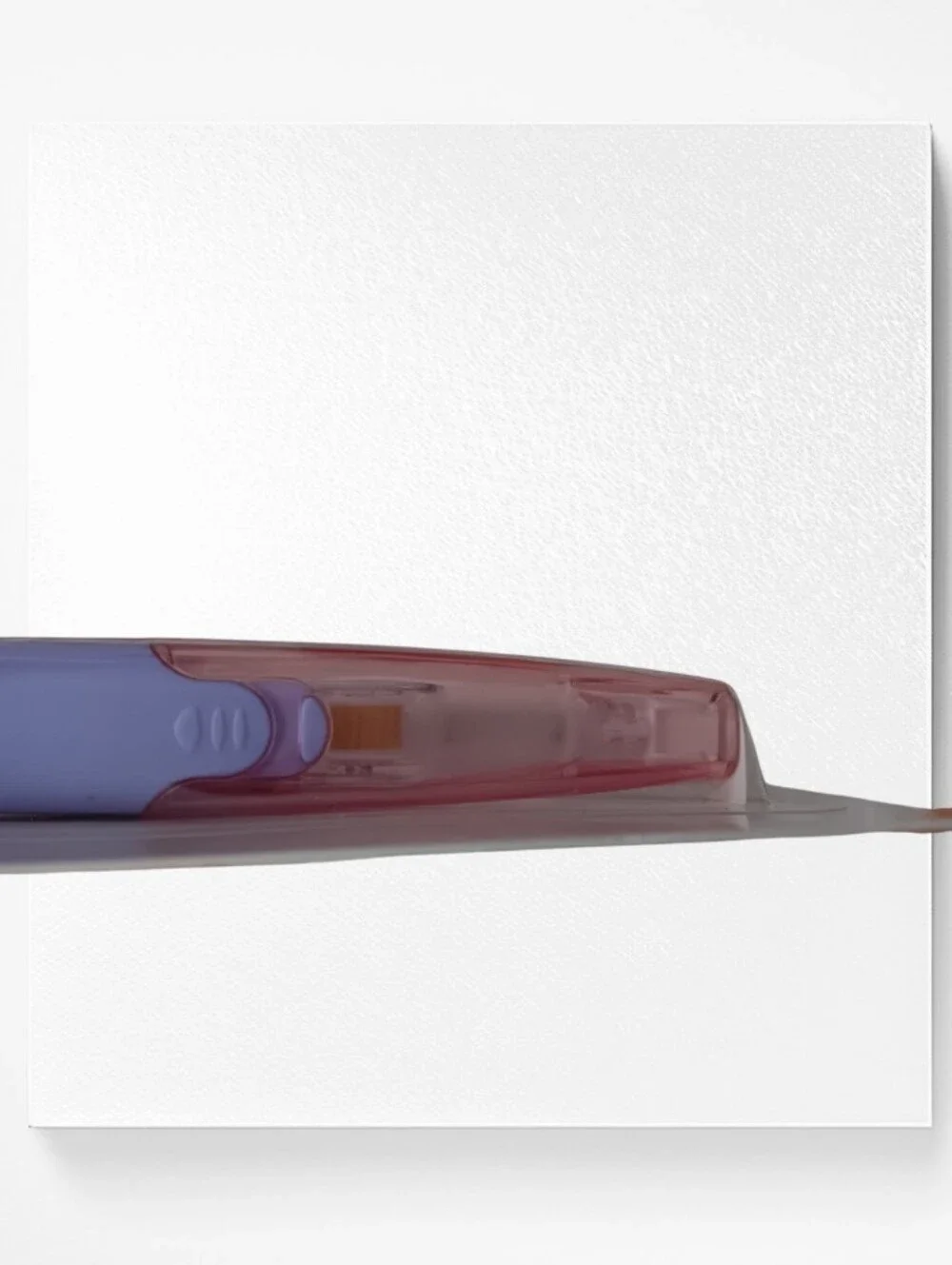 Bear & Cat Correction Tape